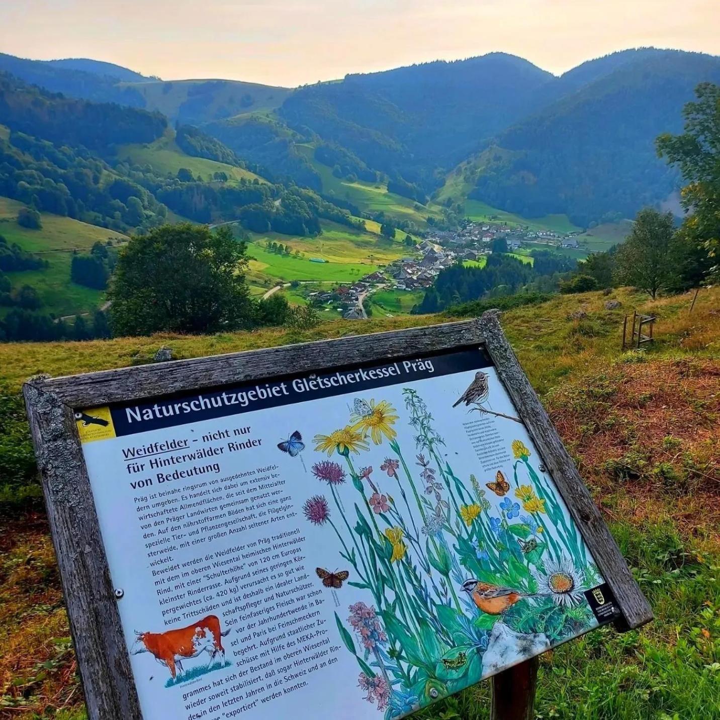 Ferienwohnungen Haus Hees Todtnau Exteriér fotografie
