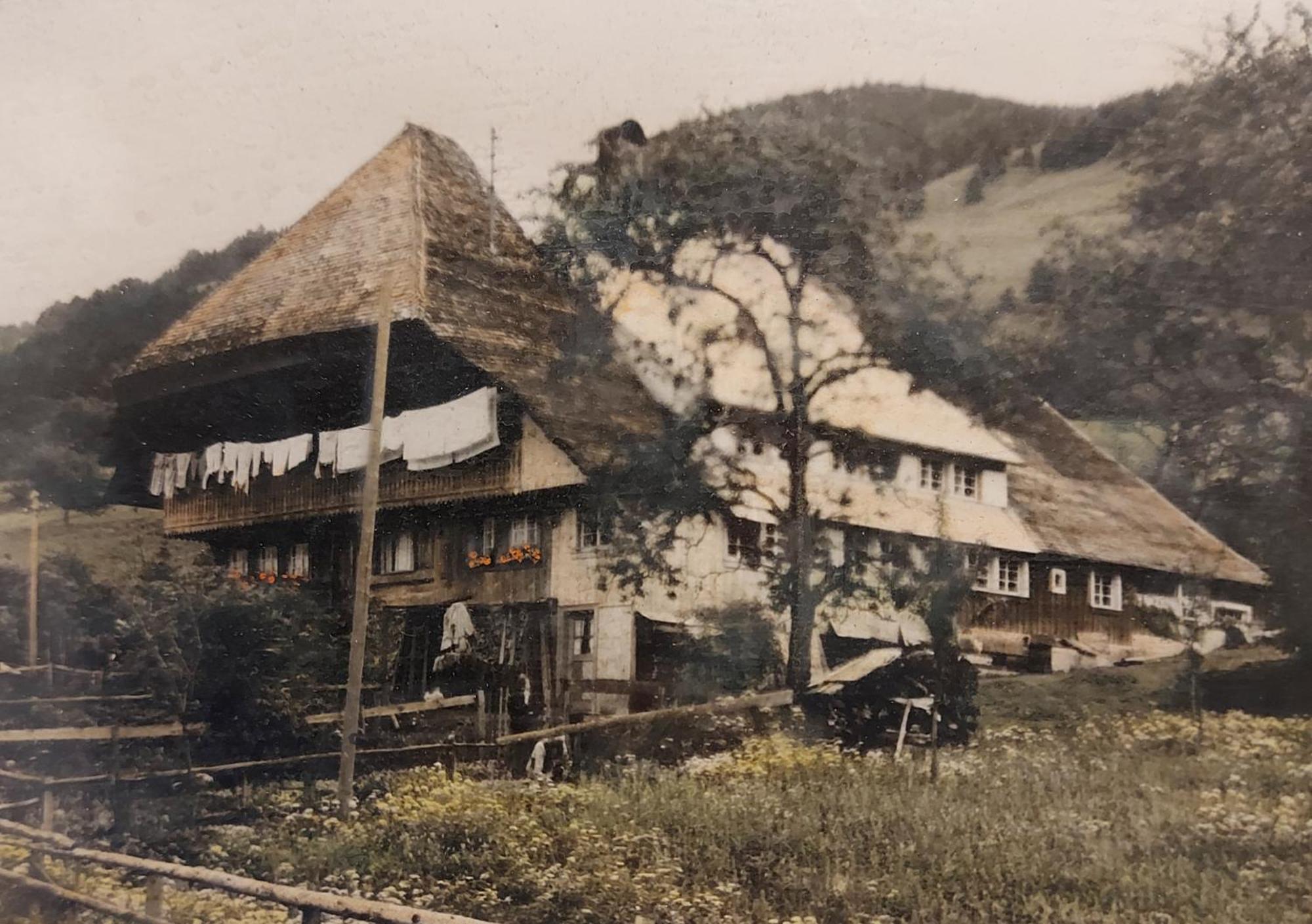 Ferienwohnungen Haus Hees Todtnau Exteriér fotografie