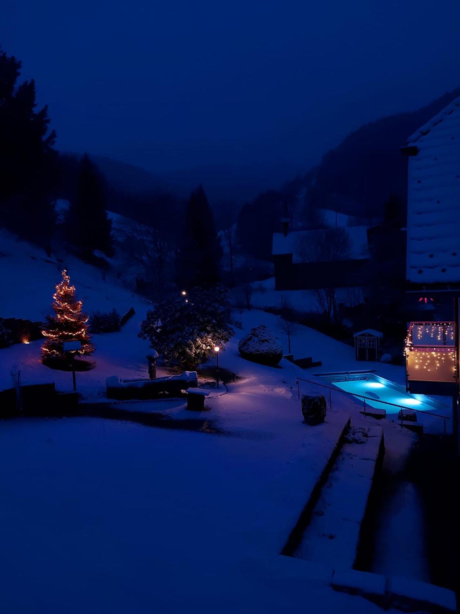 Ferienwohnungen Haus Hees Todtnau Exteriér fotografie
