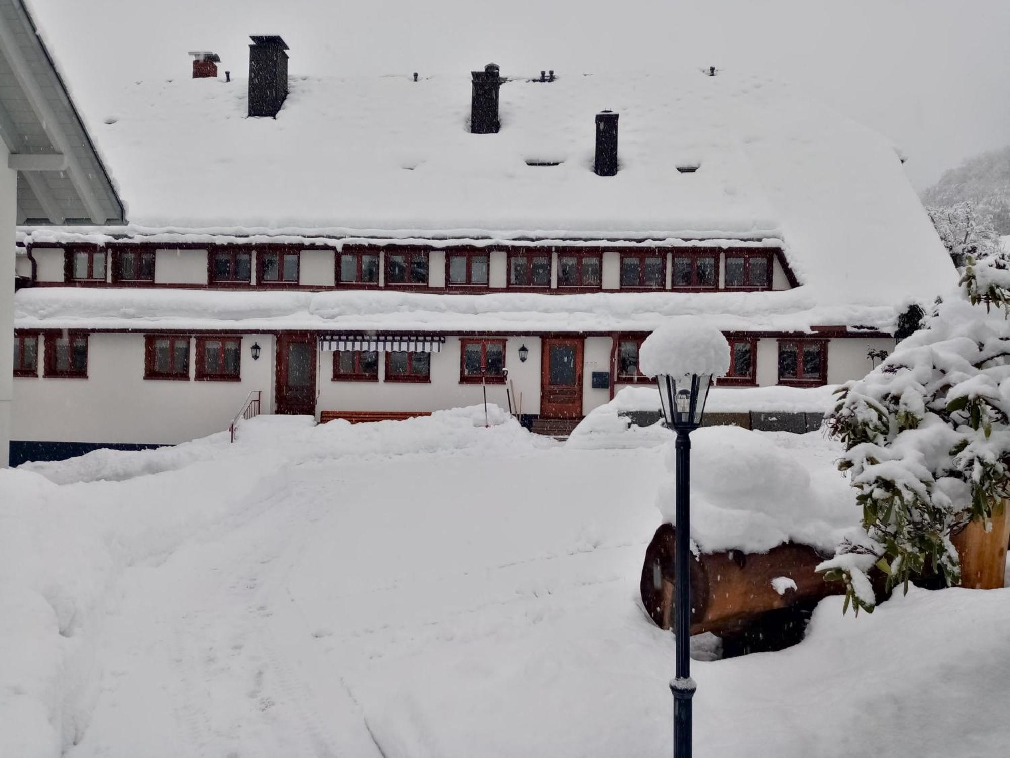 Ferienwohnungen Haus Hees Todtnau Exteriér fotografie