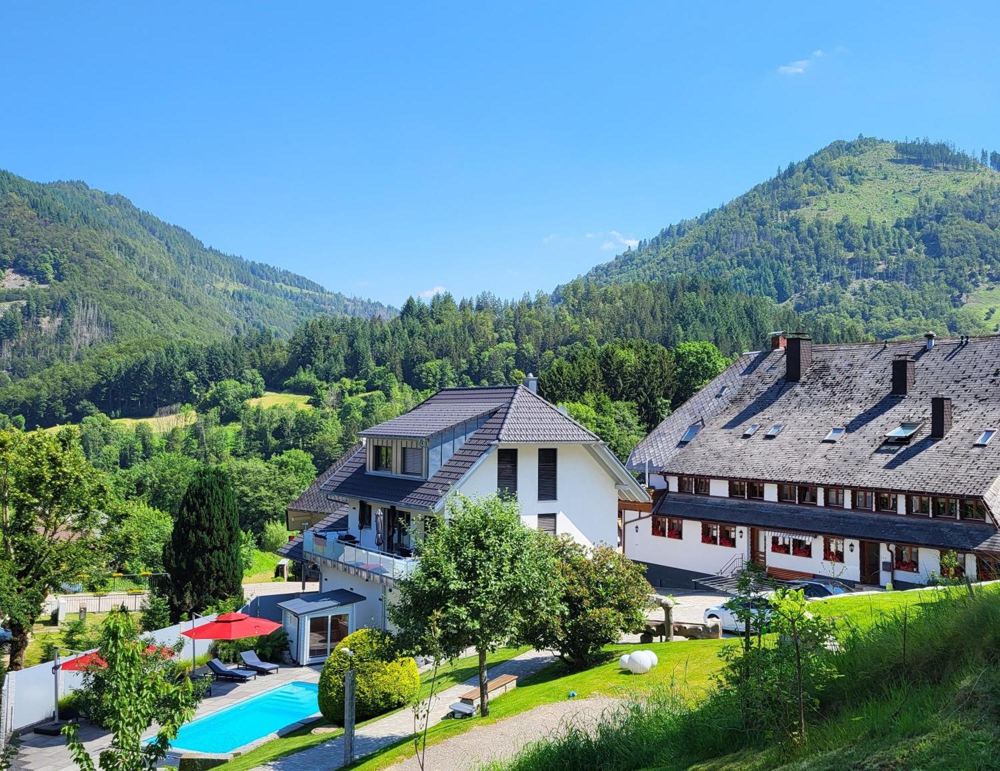 Ferienwohnungen Haus Hees Todtnau Exteriér fotografie